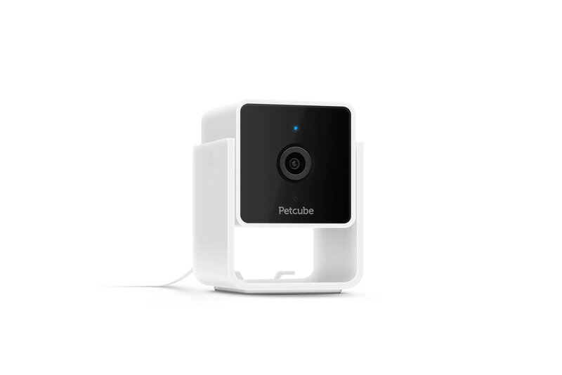Petcube Cam