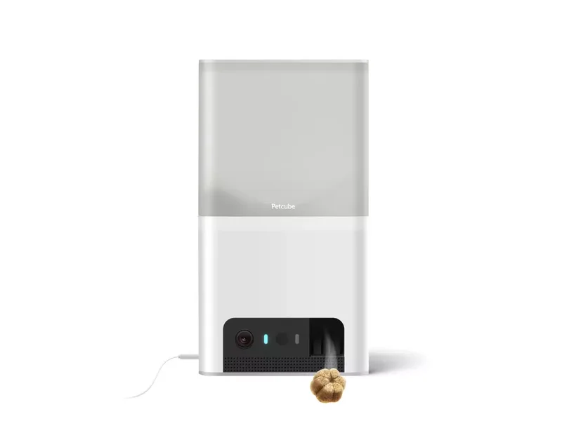 Product Image for Petcube Bites 2 Lite Husdjurskamera