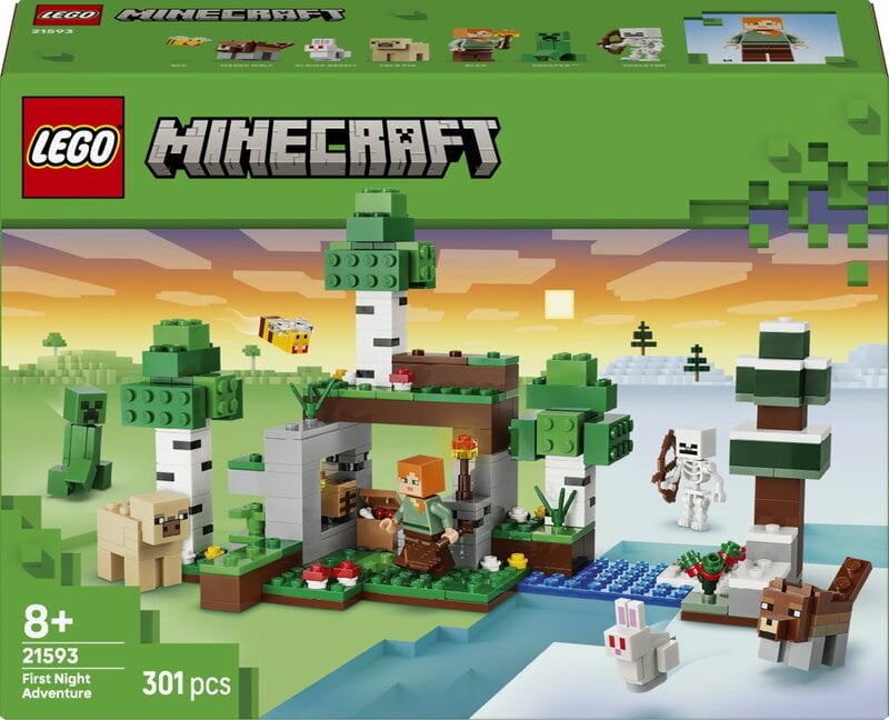 LEGO Minecraft Första nattens äventyr 21593